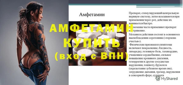 прущие грибы Верхний Тагил