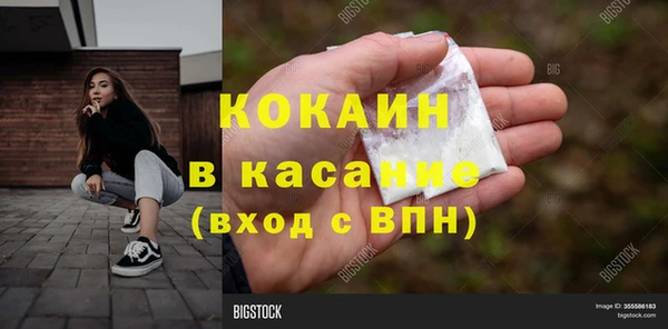 прущие грибы Верхний Тагил