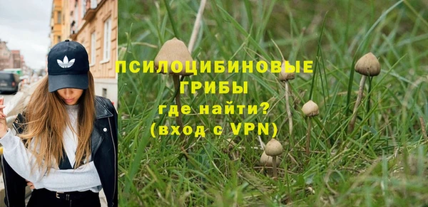 прущие грибы Верхний Тагил