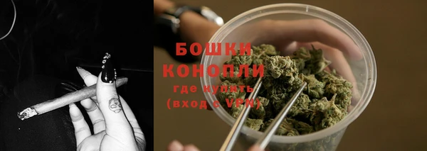 прущие грибы Верхний Тагил
